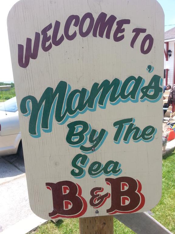 Mama'S By The Sea B&B Clark's Harbour Exterior photo