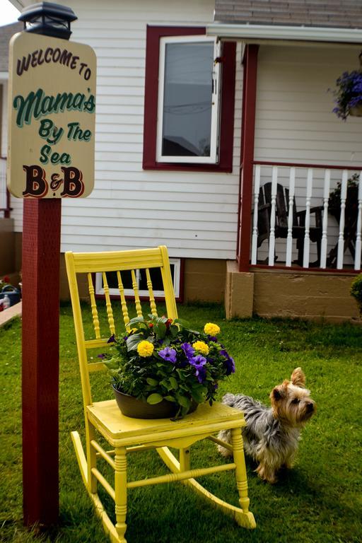 Mama'S By The Sea B&B Clark's Harbour Exterior photo